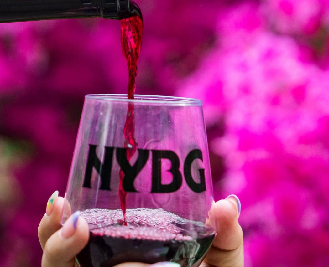 Spring Uncorked 1