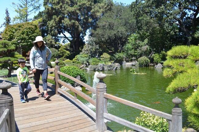 San Mateo Japanese Garden 2