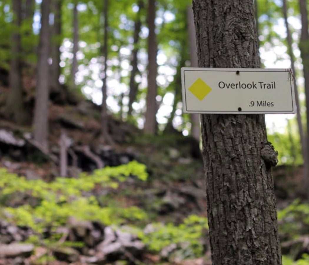Teatown Lake Reservation 2