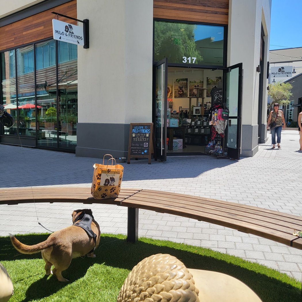 Milo & Friends Pet Boutique 2
