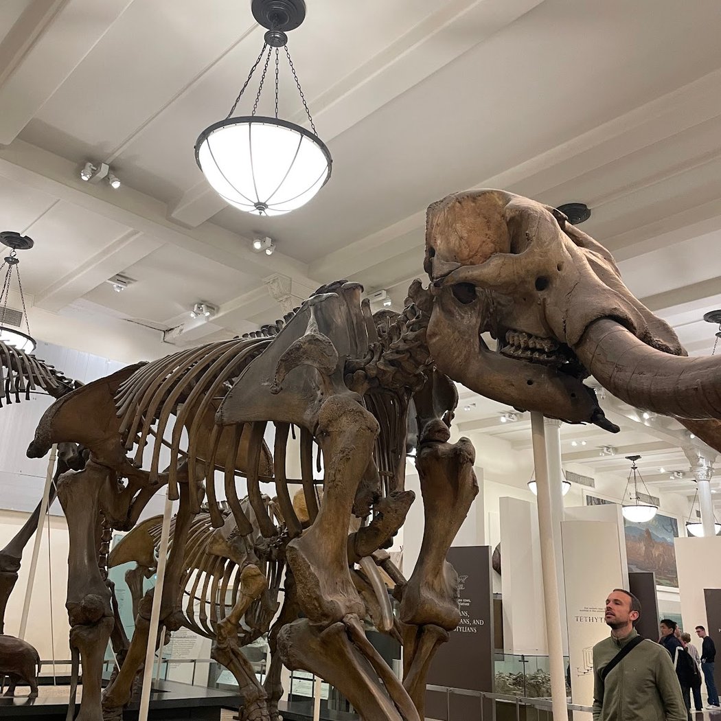 Special Events at the American Museum of Natural History 1