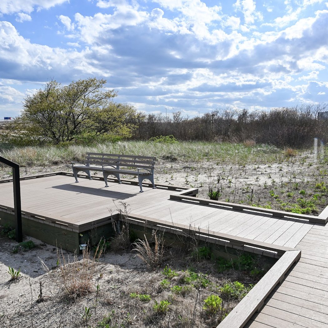 Pop UP Shoreline Cleanup 1