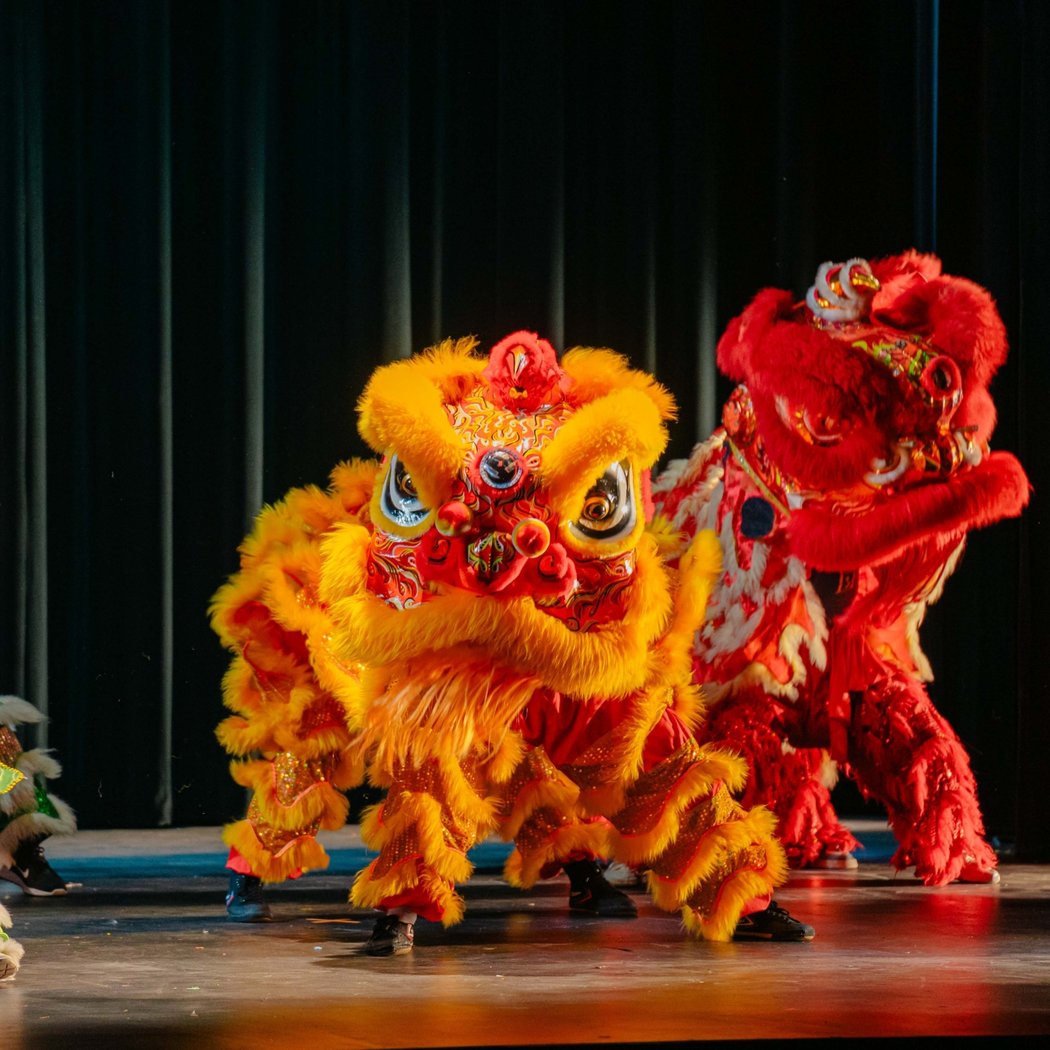 Lunar New Year Celebration 1