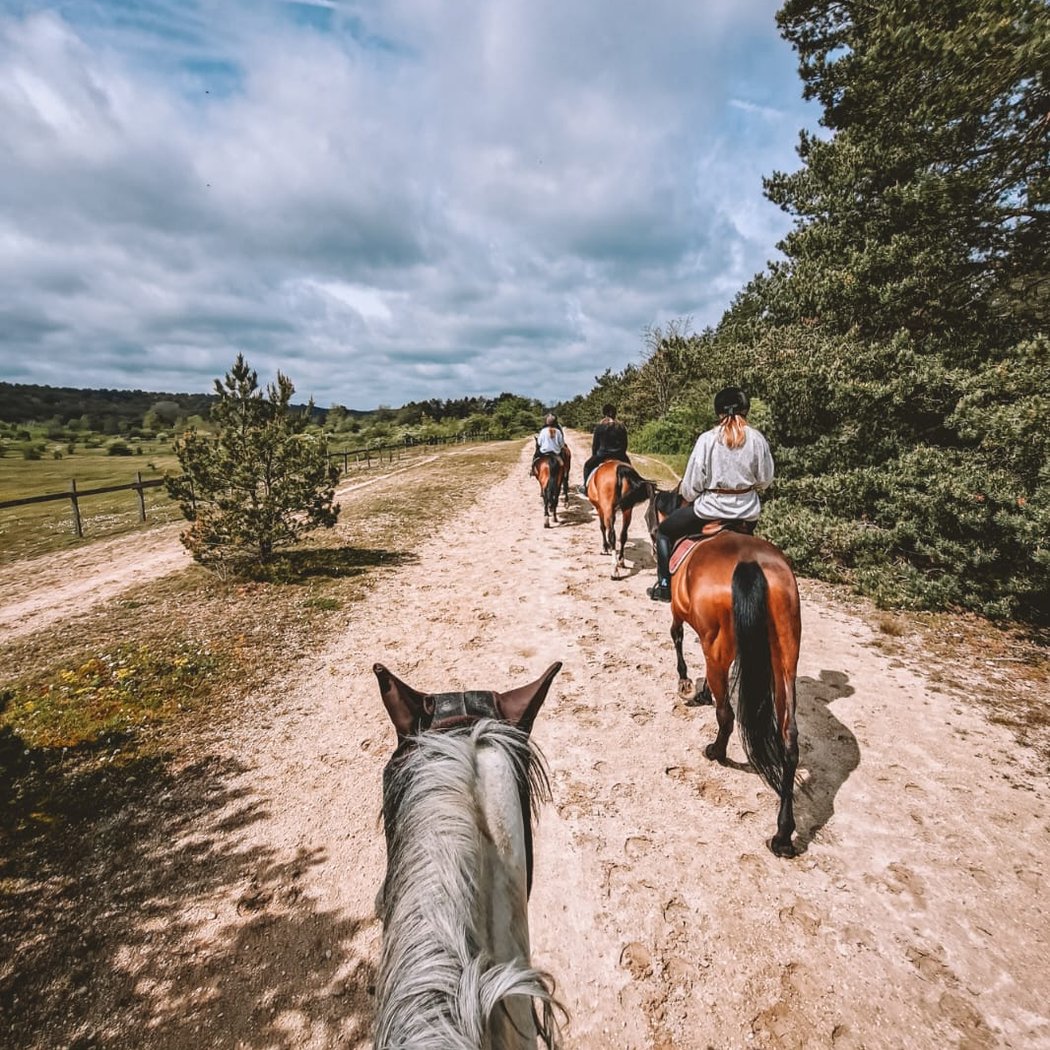 Equestrian Center Arbonne Riding 3