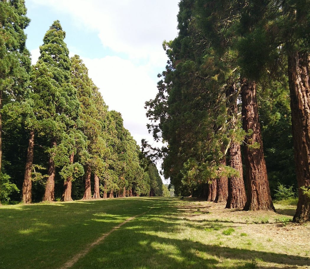 Parc de Villeroy 3