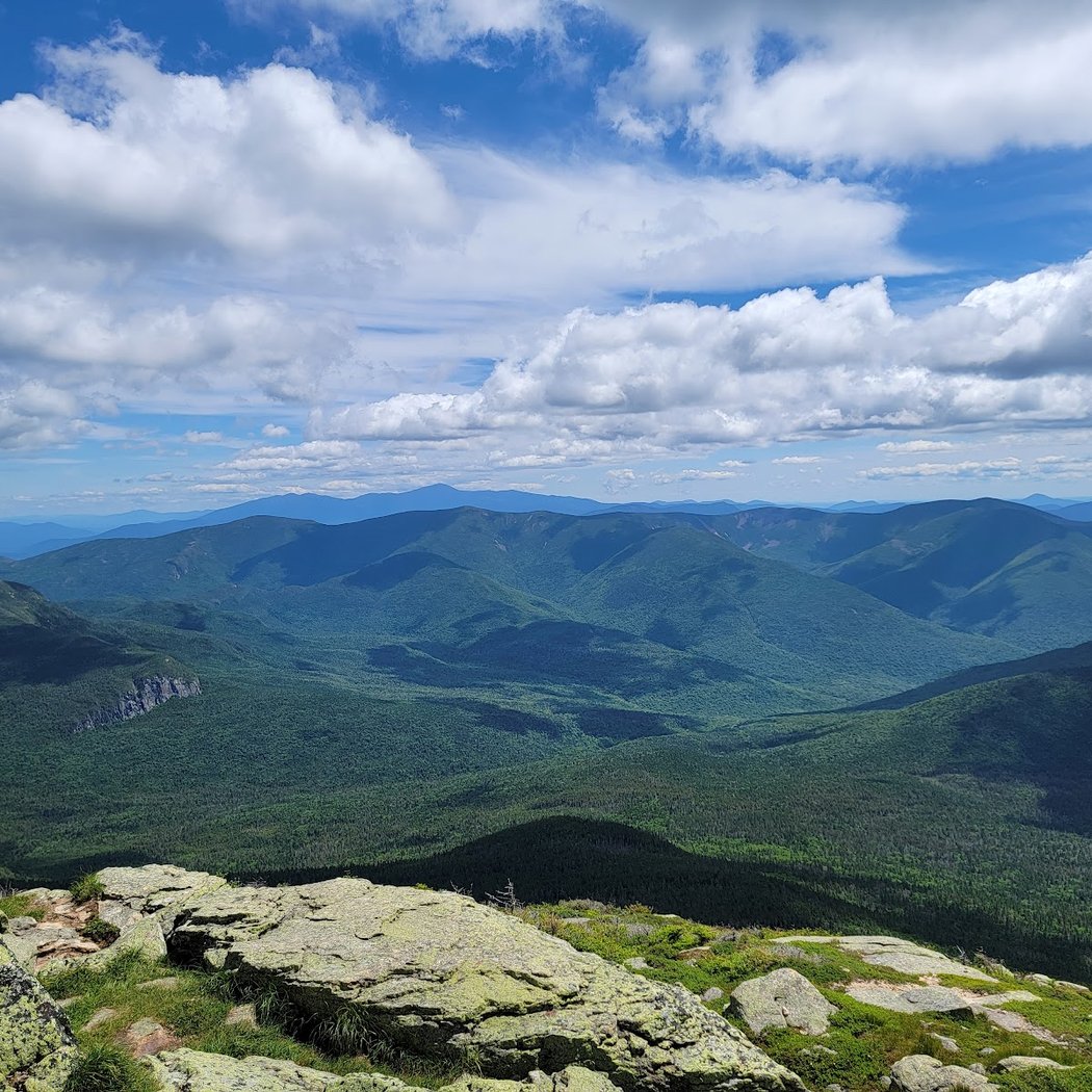 White Mountain National Forest 3