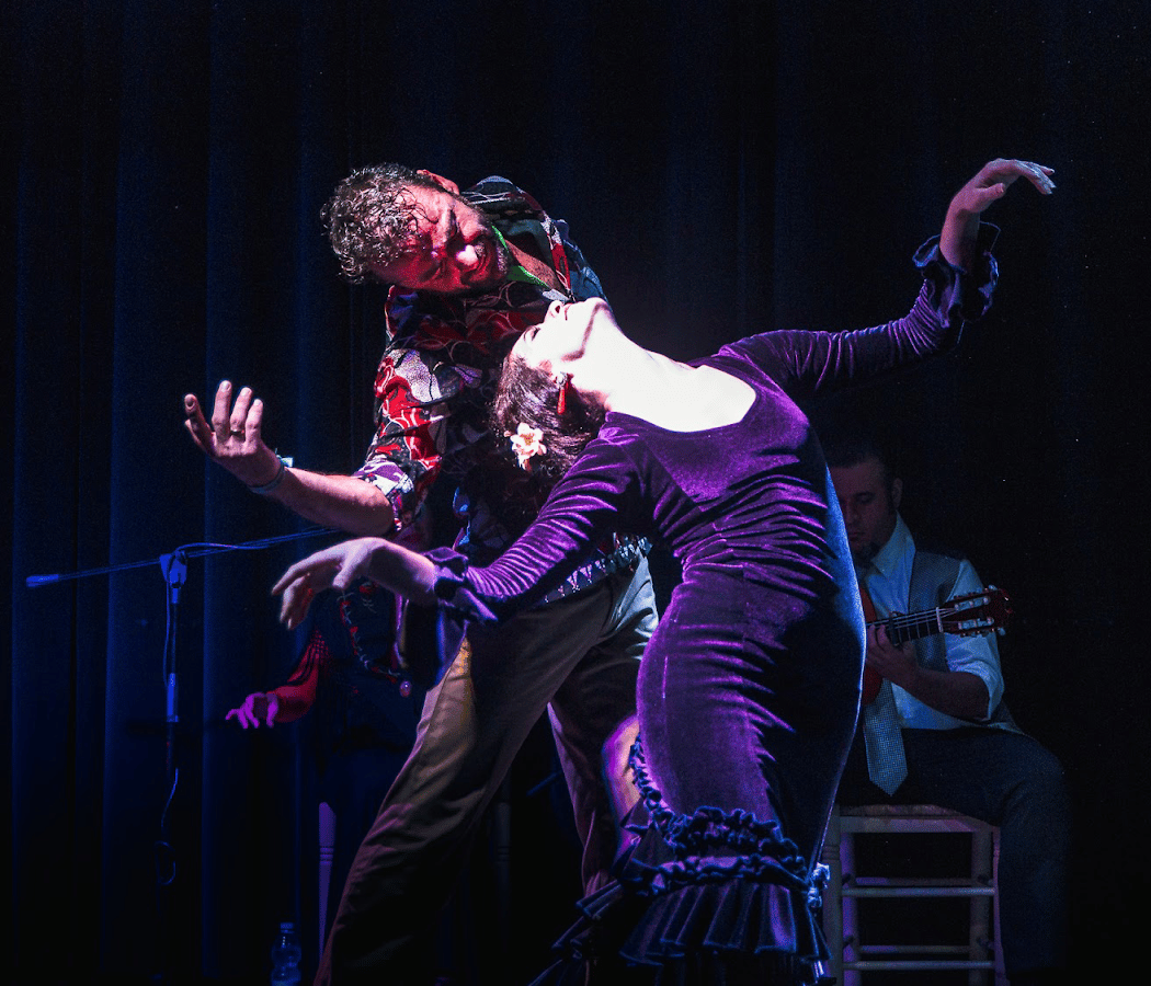 Flamenco Performances at La Flamenquería 1
