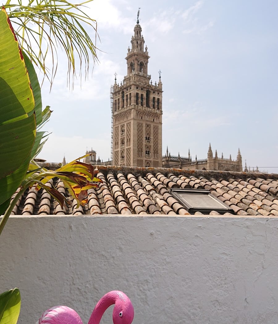 Rooftop bar Funtecruz 3