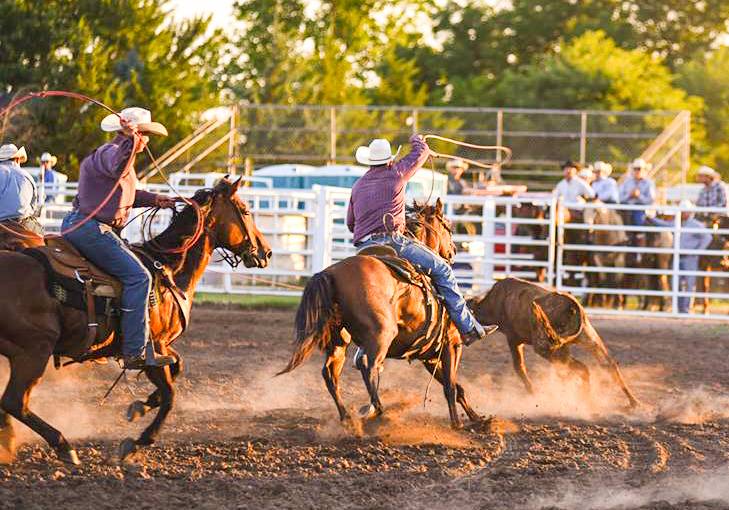 Sedgwick County Fair 2