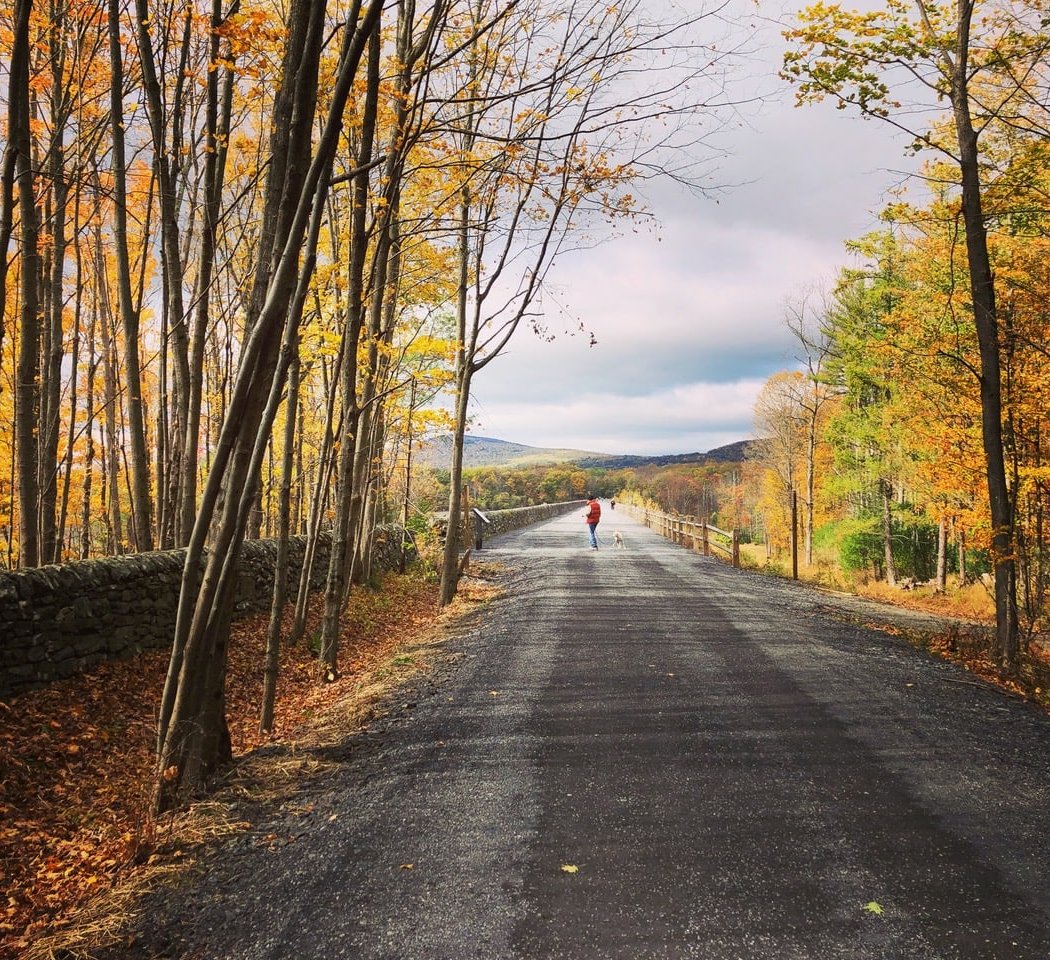 Ashokan Rail Trail 1