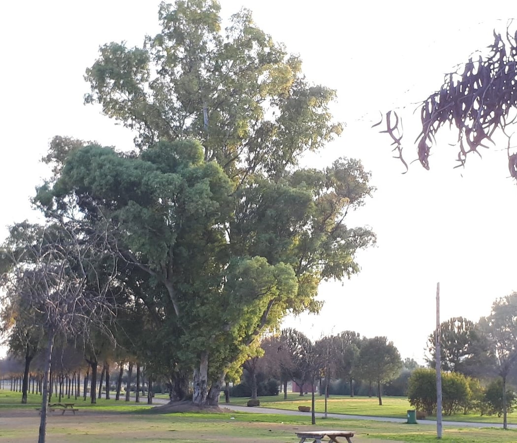 Instalaciones Deportivas Charco de la Pava 4