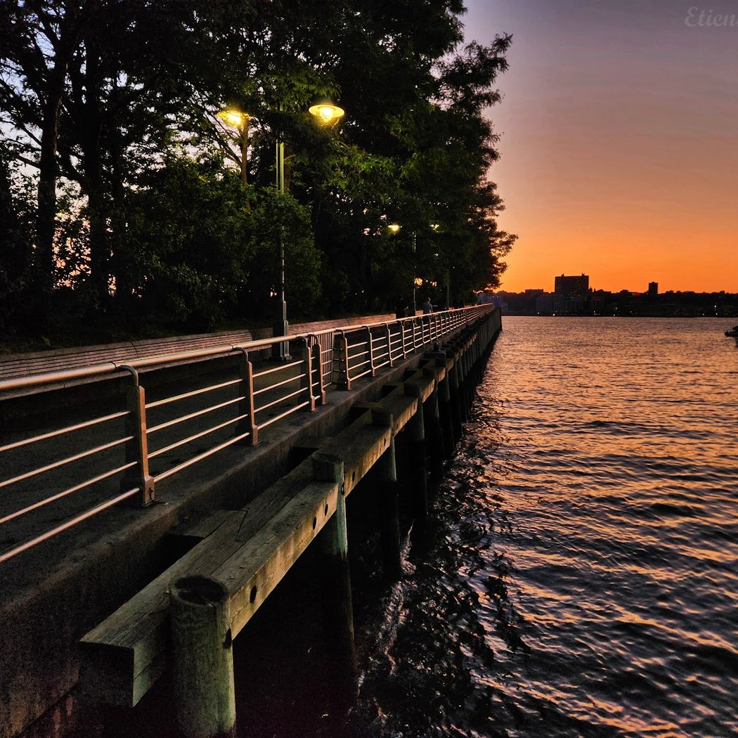 Pier 64 at Hudson River Park 4