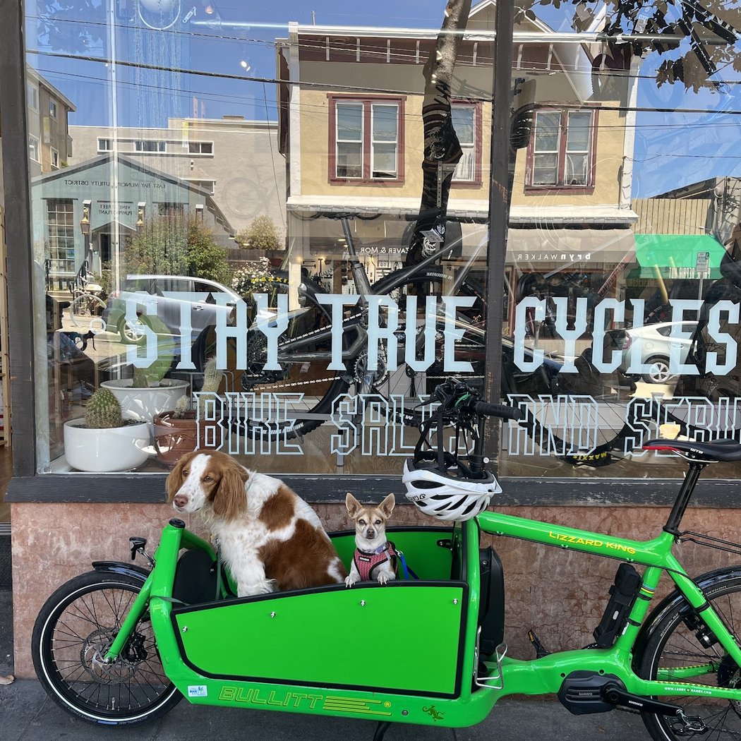 Stay True Cycles 1