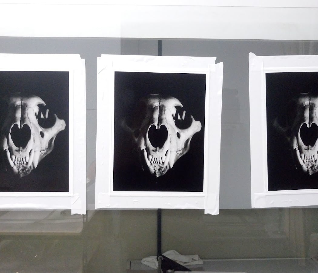 Aperçu – Biennale de design graphique 4