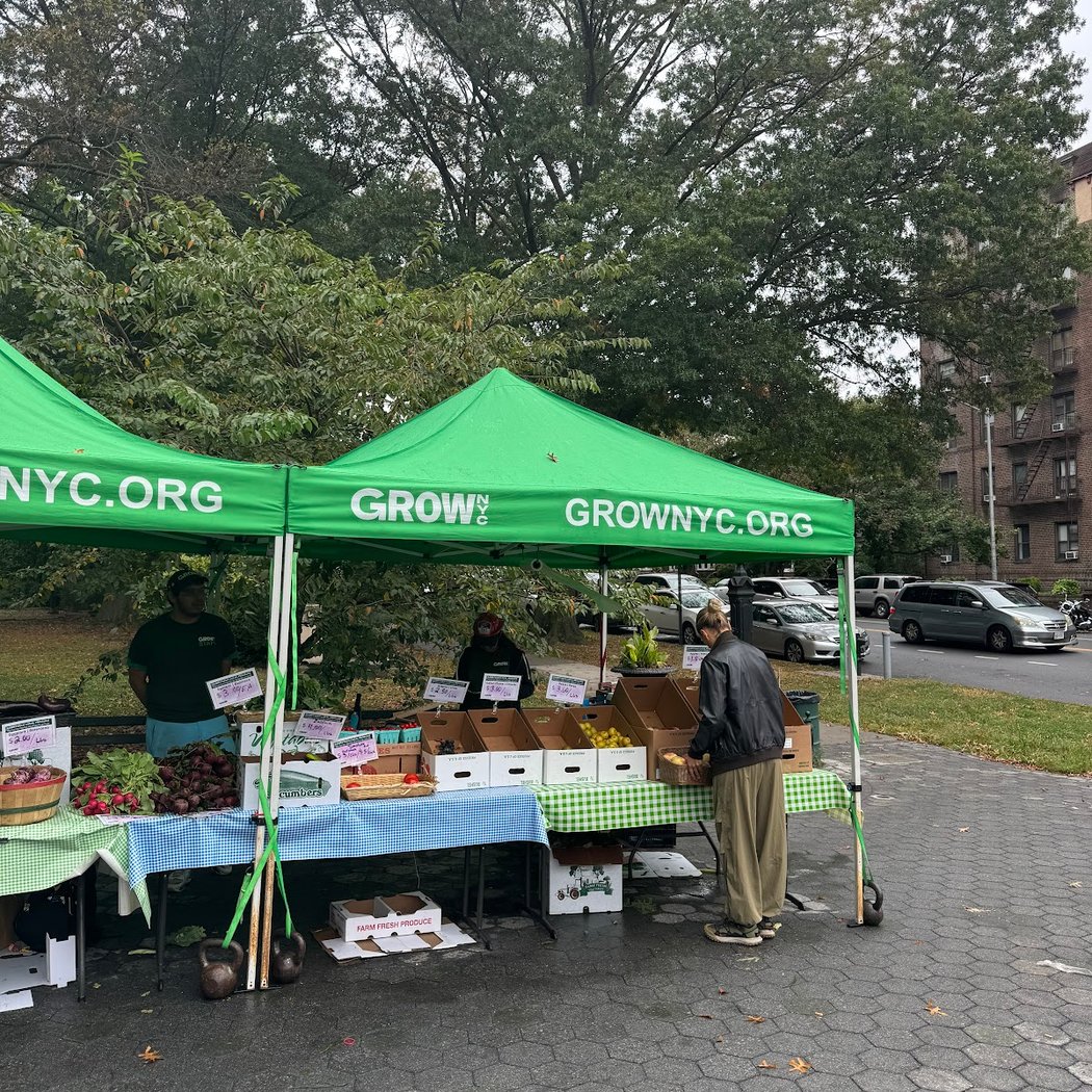 NYC farmers market 1
