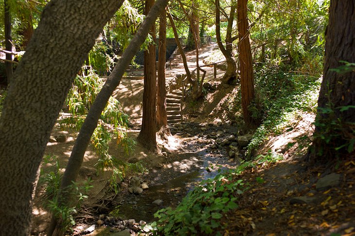 Live Oak Park 3