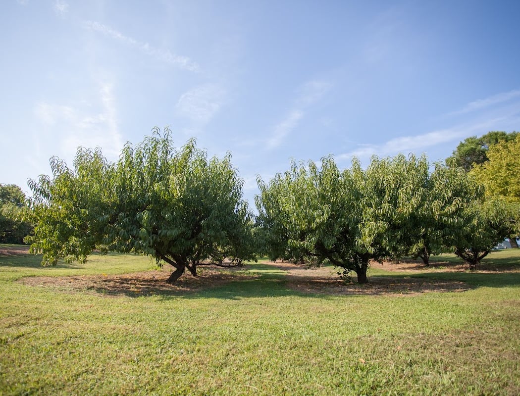 Breeden's Orchard 3