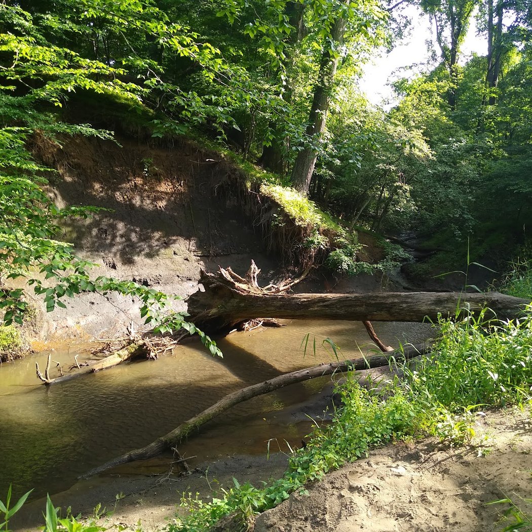 Big Brook Preserve 3