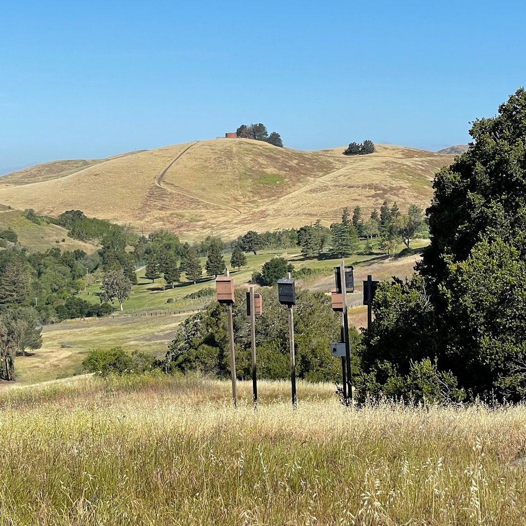 Bird Watching at Ed R. Levin County Park 1