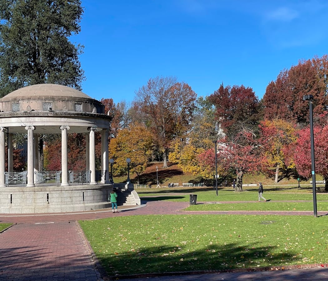 Boston Common 3