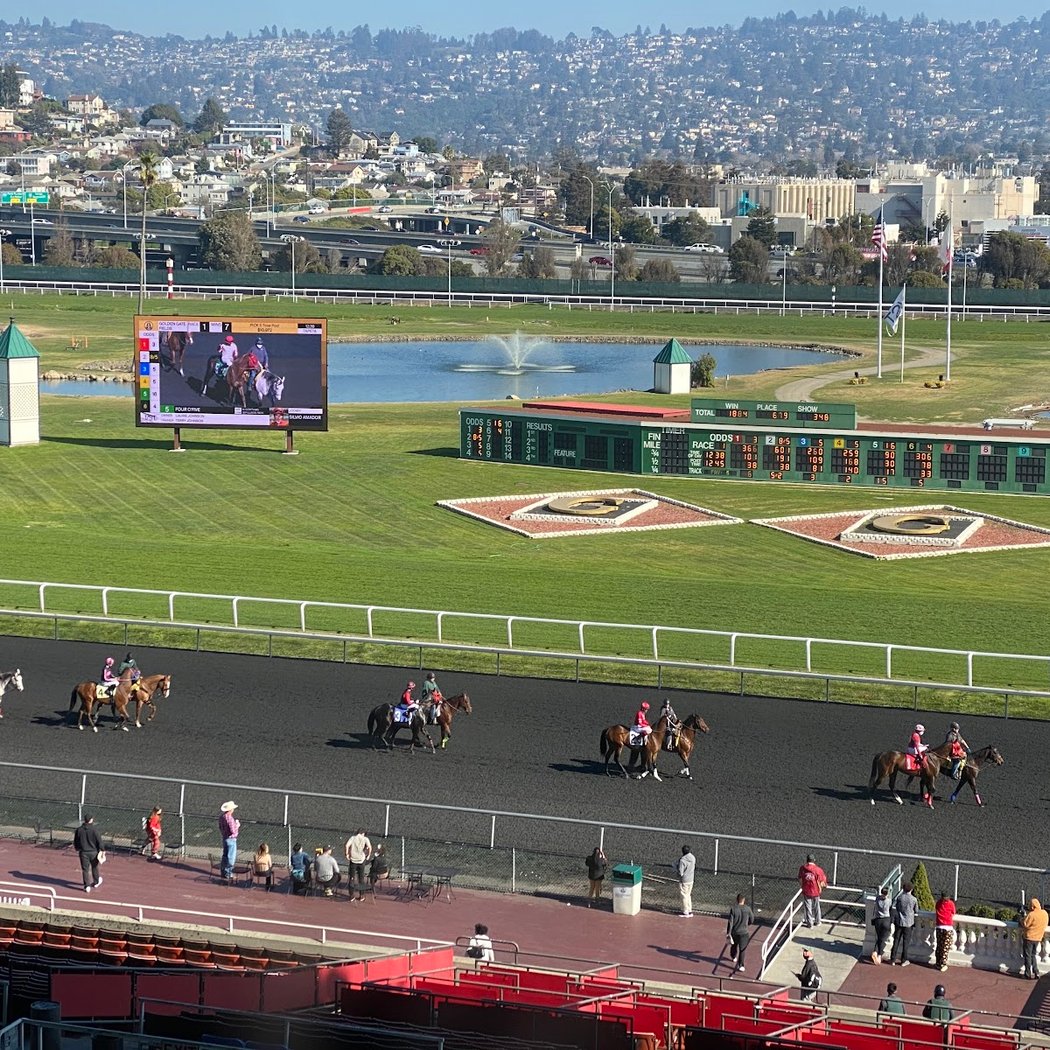 Golden Gate Fields 3