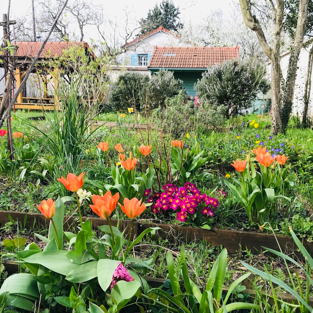 Visite du jardin et atelier nichoir 1
