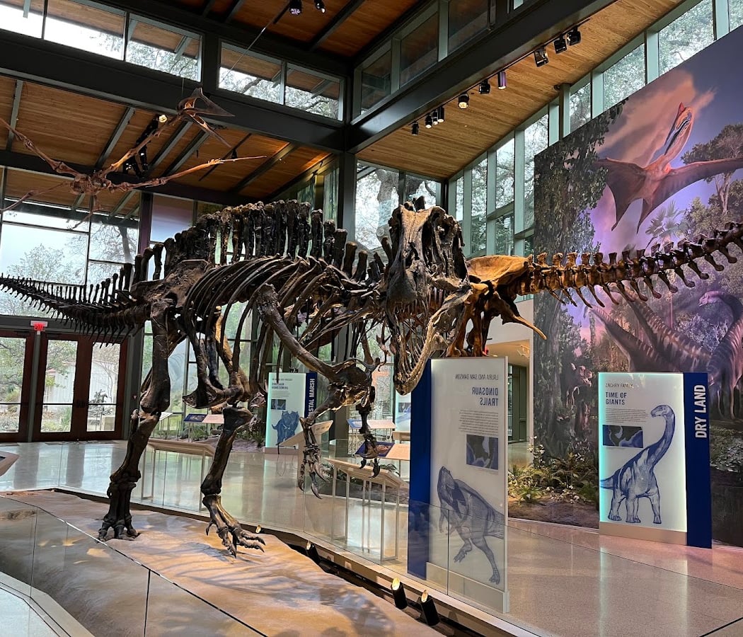 Witte Museum 3