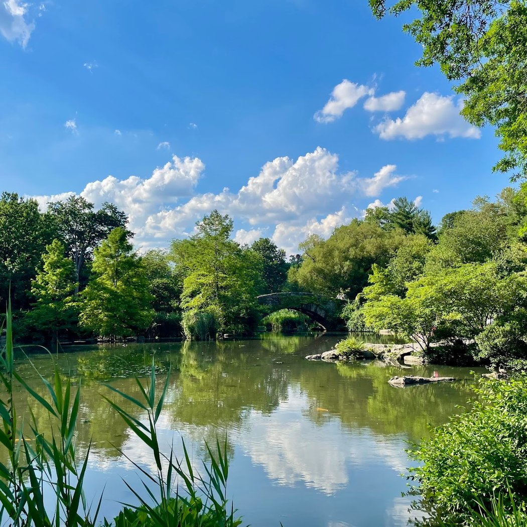 The Pond at Central Park 3