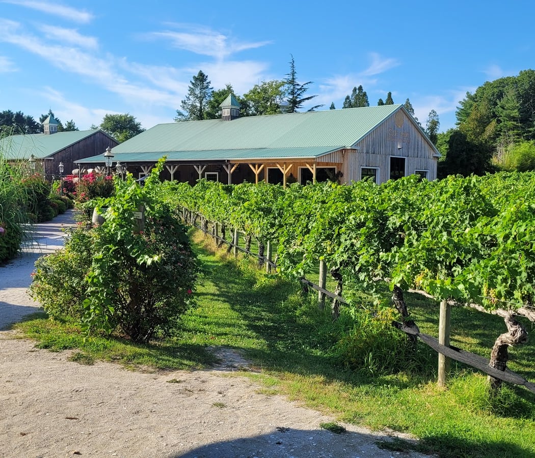 Cape May Winery & Vineyard 3