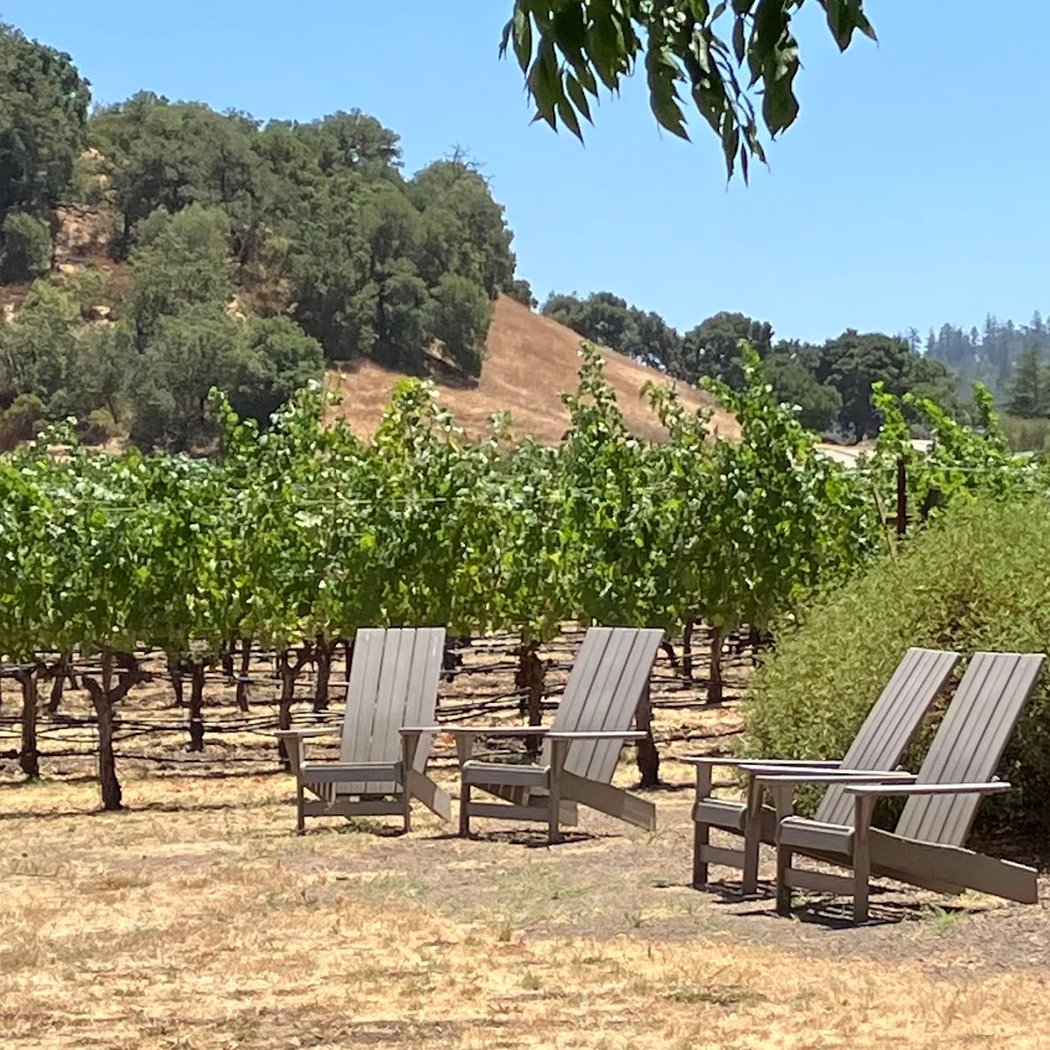 VIP Tasting at Cliff Lede Winery 2