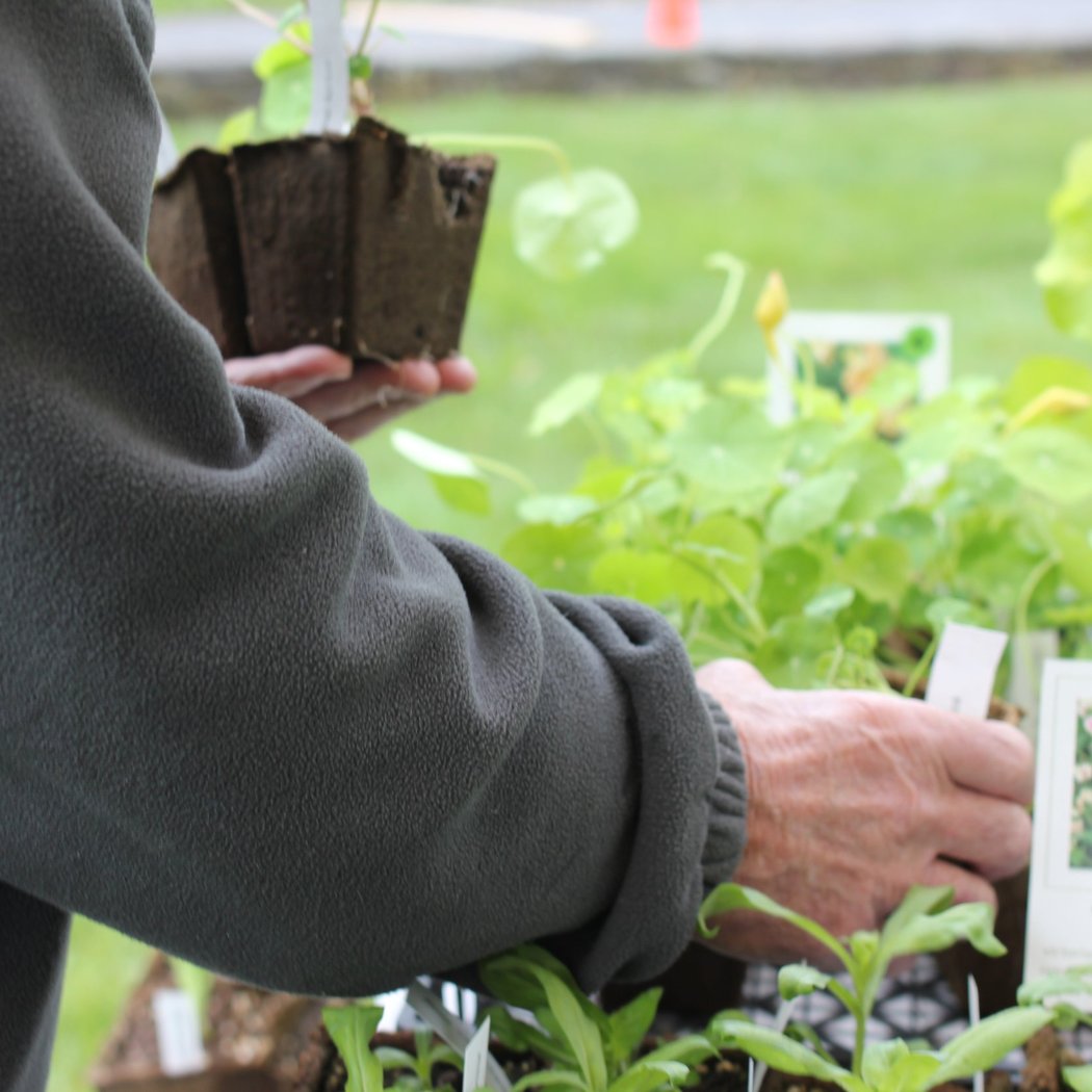 Spring Plant Sale 1