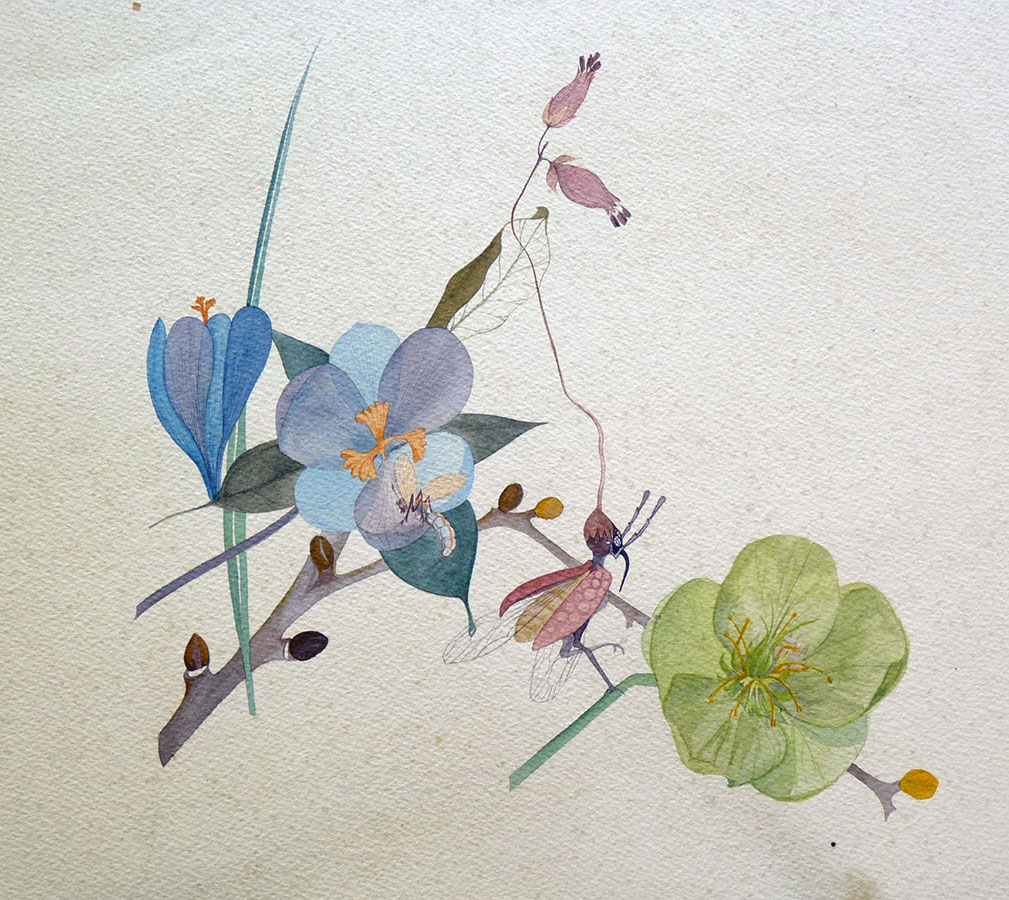 Jardins de papier 2