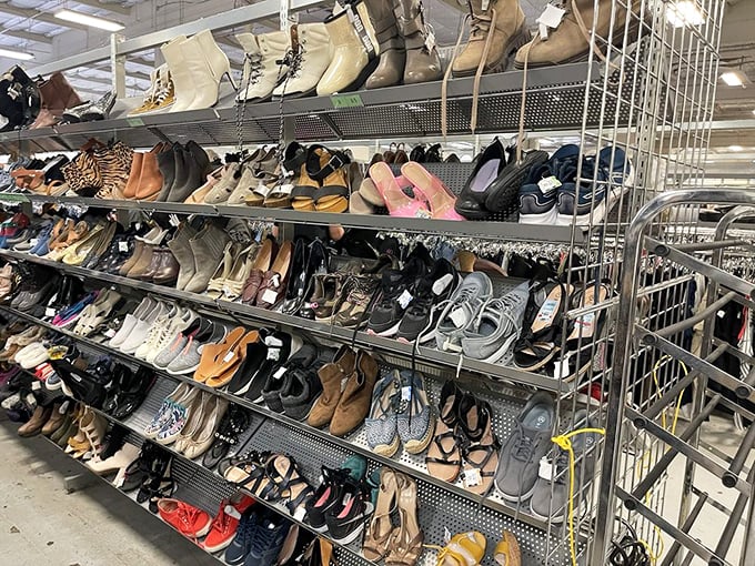 Eco Thrift Hayward 1