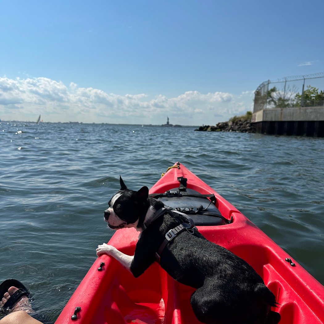 Red Hook Boaters 2