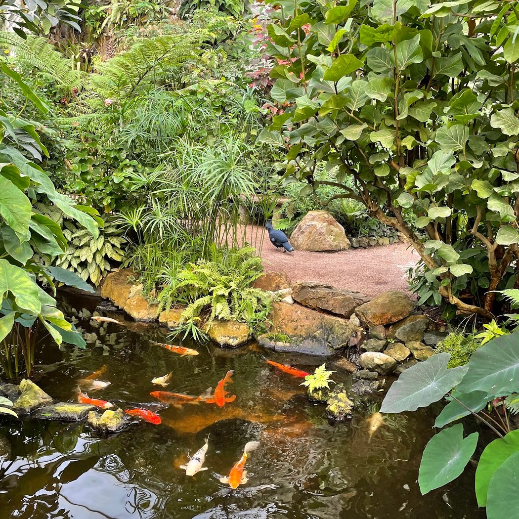 Naturospace Honfleur 3