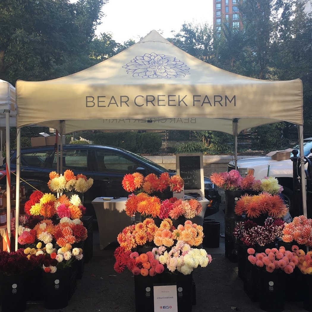 Bear Creek Farm 3