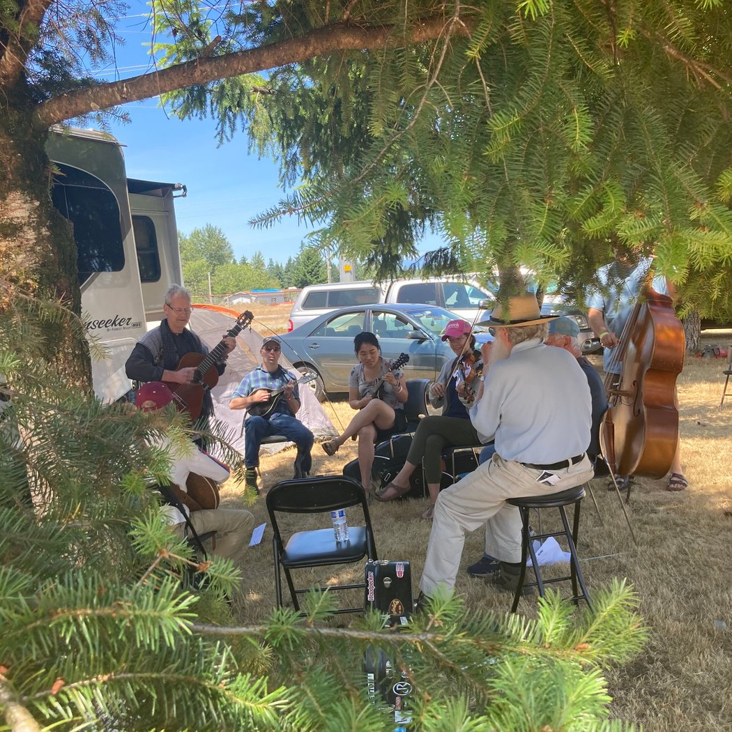 Bluegrass from the Forest 2