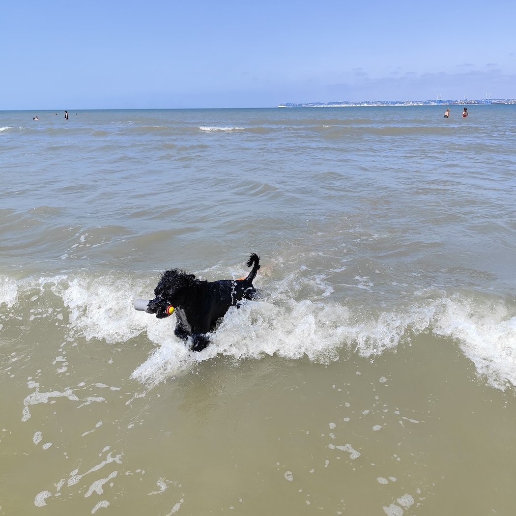 Plage de Criqueboeuf 1