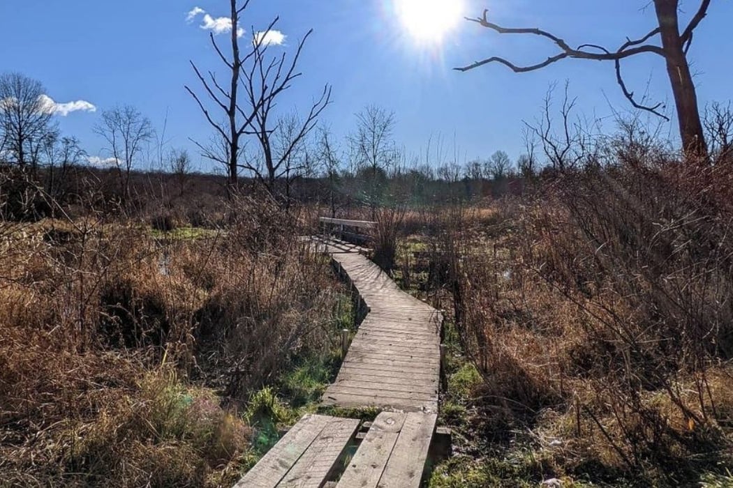 Vassar College Farm and Ecological Preserve 1