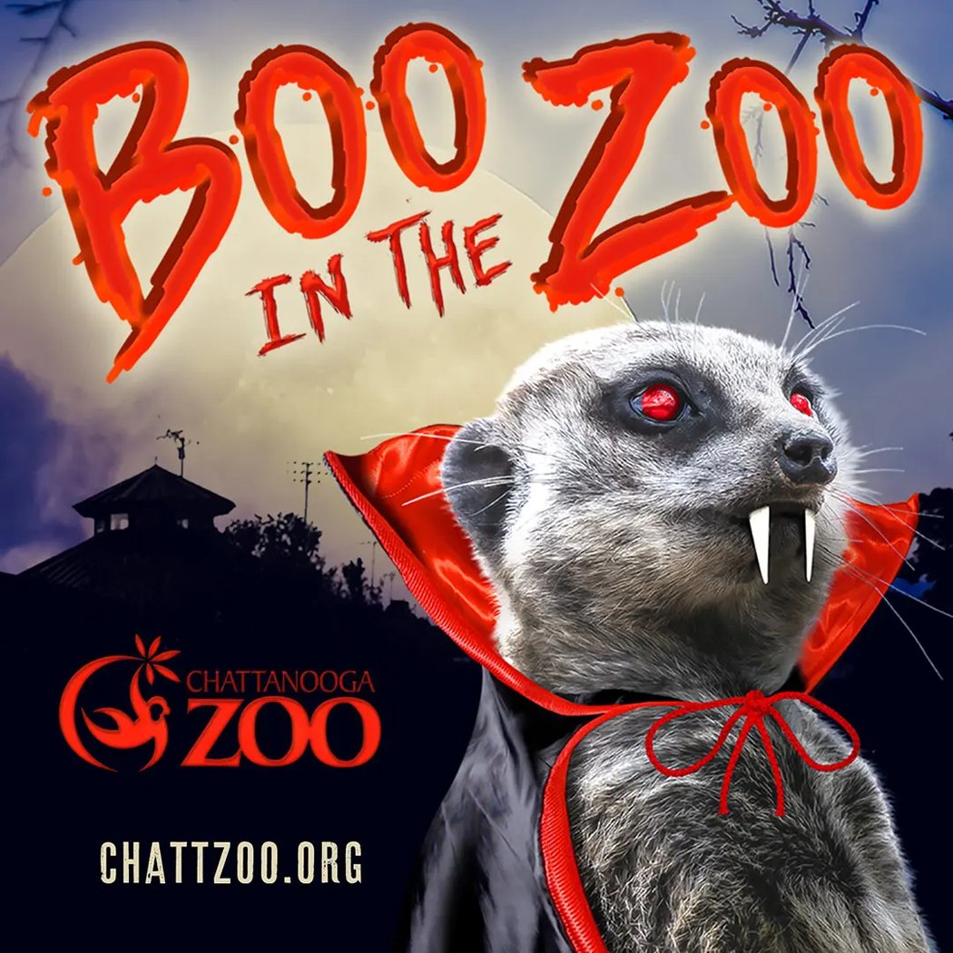Boo in the Zoo