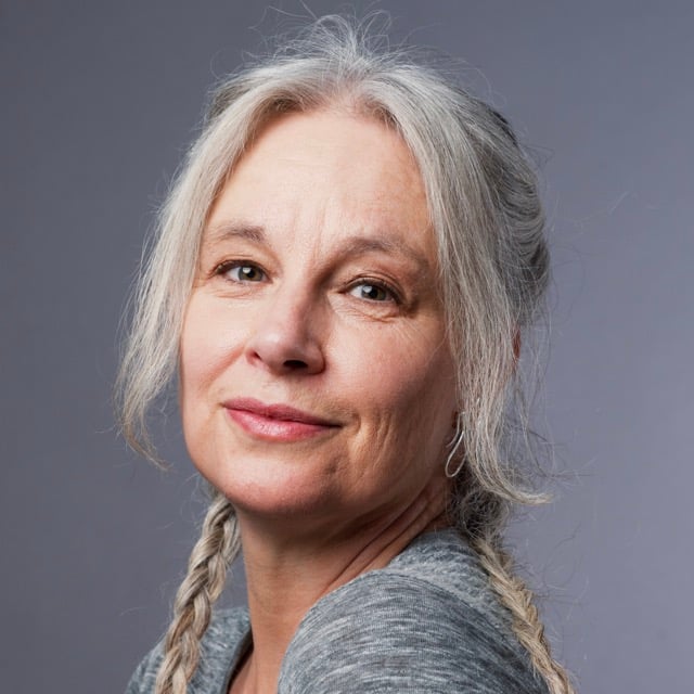 Sara Stridsberg, Adieu, Panic Beach
