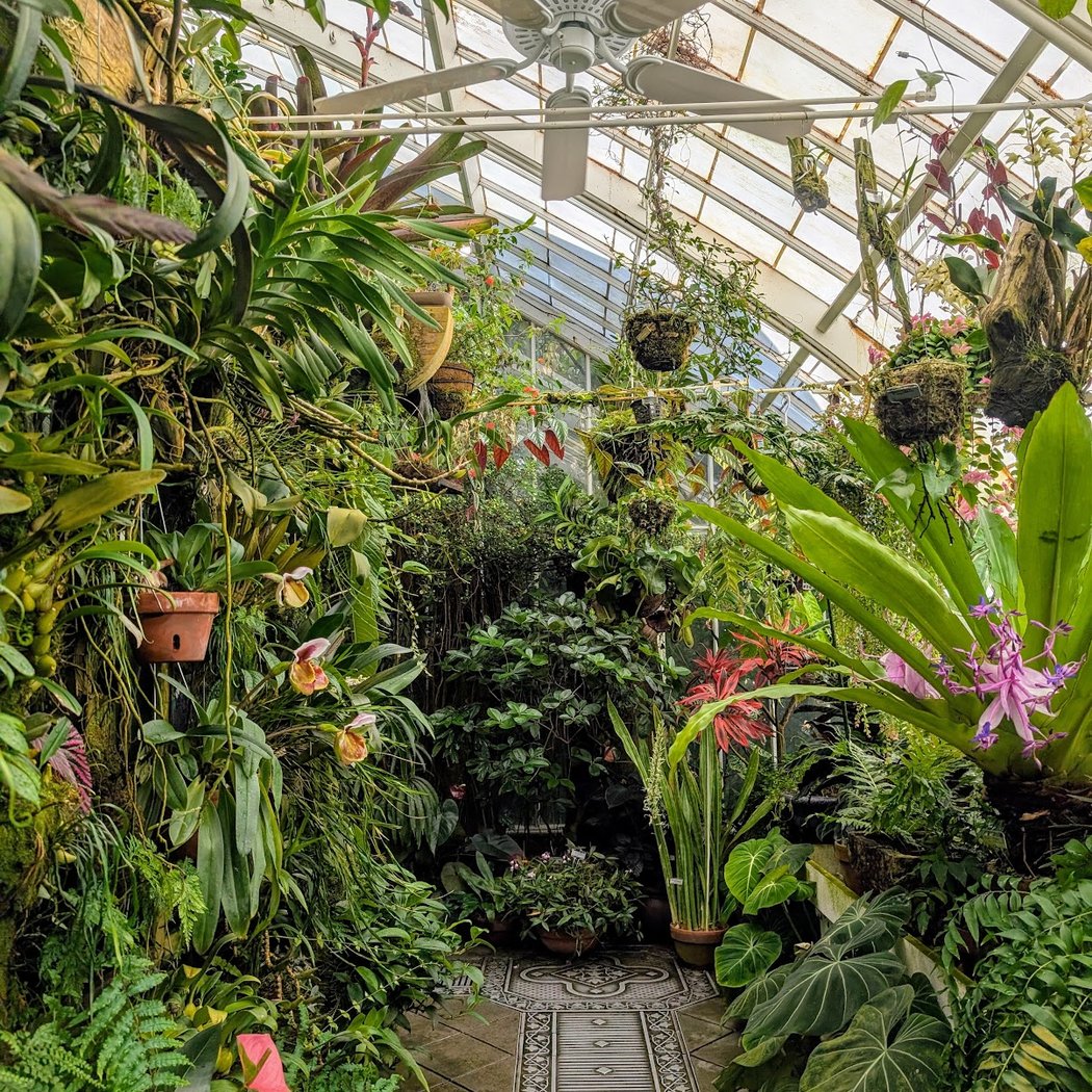 Yoga in the Orchid Pavilion 1