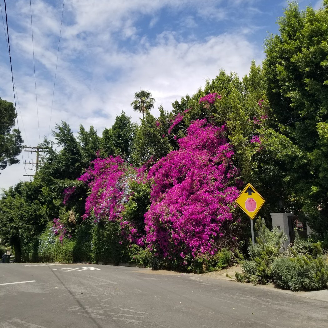 Studio City 1