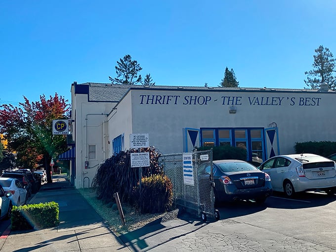CP Thrift Shop 2