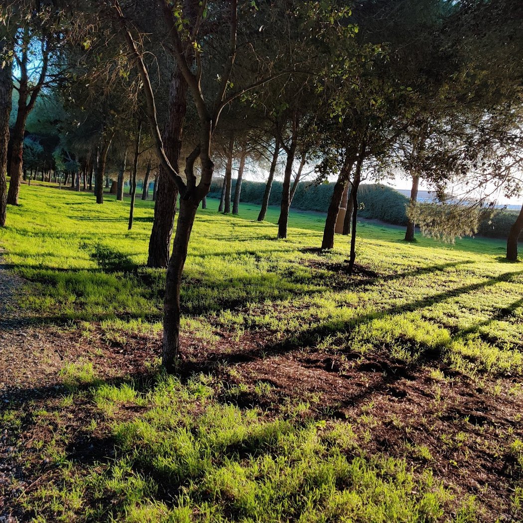 Parque Infanta Elena 3