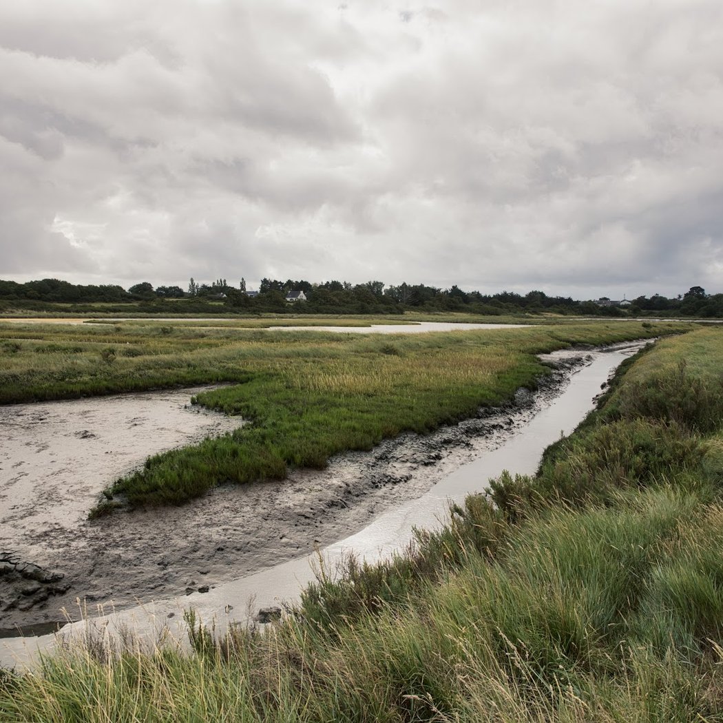 Salt marshes of Saint Armel 2