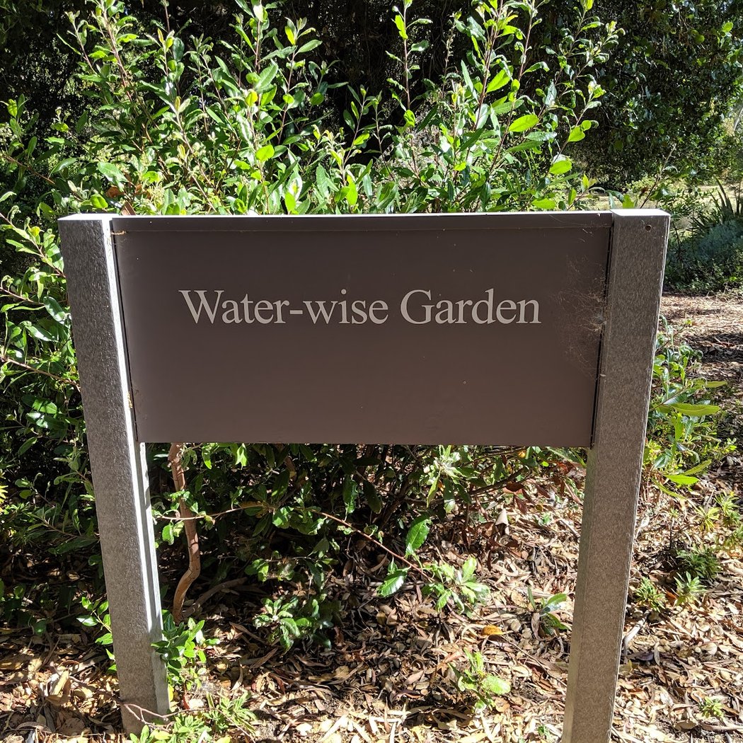 Water-wise Garden 2