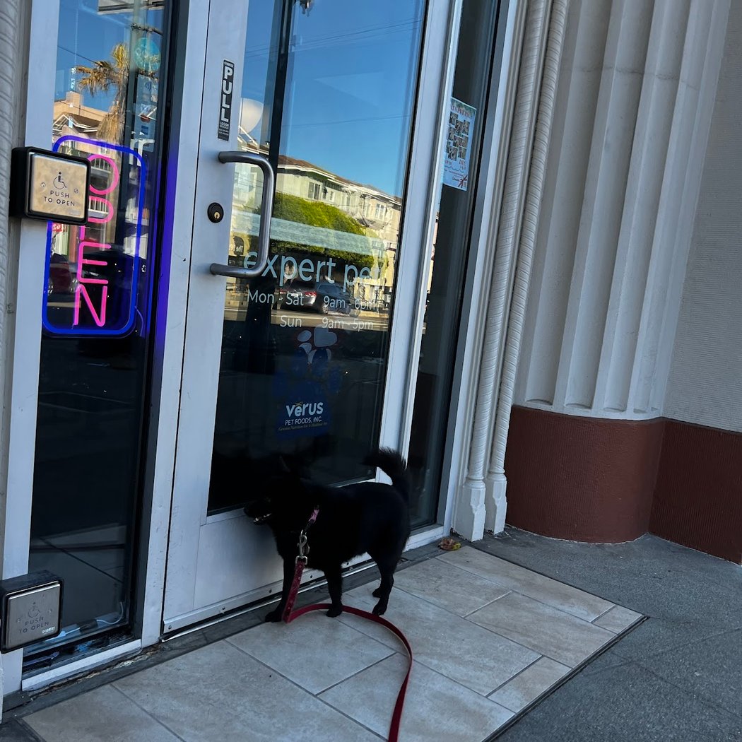 Pups, Treats & Ice Cream 2