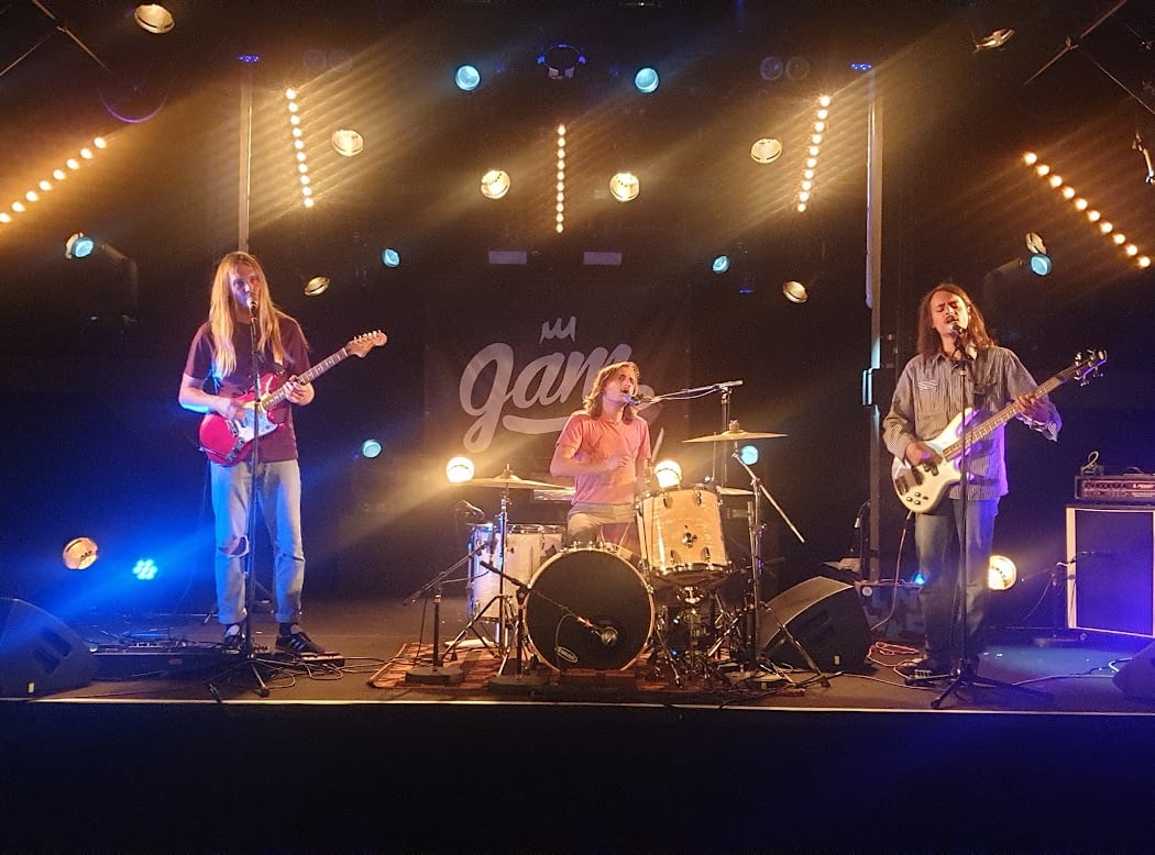 MDNS + Vera Daisies 4