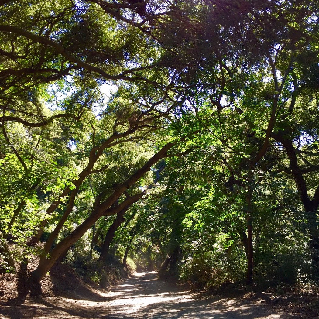 Holy Jim Trail (6W03) 1